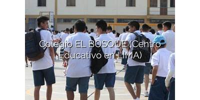500 EL BOSQUE