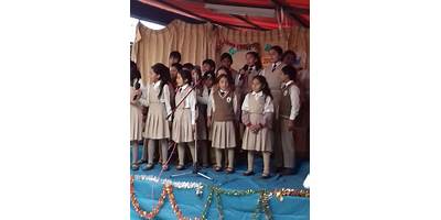 50273 VIRGEN DEL CARMEN