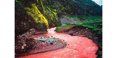 56433 REAL SANTA CRUZ