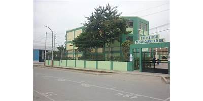 81030 CESAR A. CARRILLO GIL
