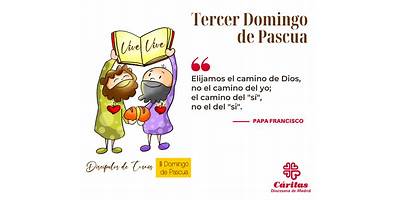 8194 LOS DISCIPULOS DE JESUS