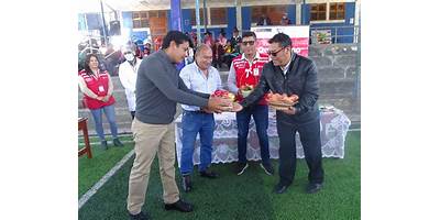 86278 MARIO TORRES MEZARINA