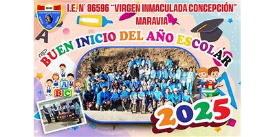 86596 VIRGEN INMACULADA CONCEPCION