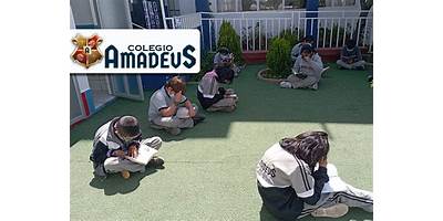 AMADEUS