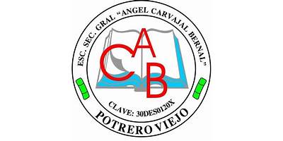 ANGEL CARVAJAL BERNAL