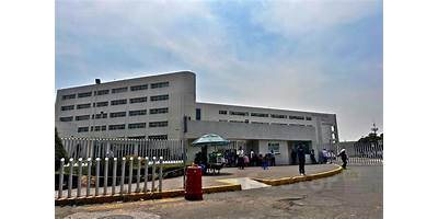 ARTURO MONTIEL ROJAS