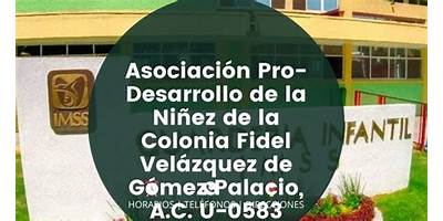 ASOCIACION PRO DESARROLLO DE LA NIÑEZ DE LA COLONIA FIDEL VELAZQUEZ DE GOMEZ PALACIO A.C.