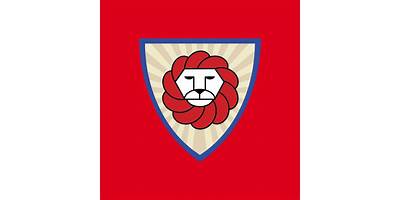 BRIGHAM YOUNG SCHOOL