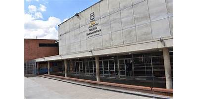 BUENAVENTURA DE JESUS