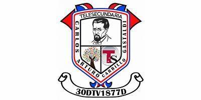 CARLOS ARTURO CARRILLO GASTALDI