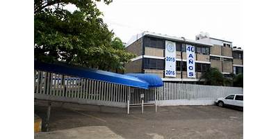 CARLOS PELLICER CÁMARA