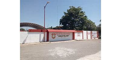 CARLOS PELLICER CAMARA