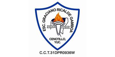 CENTRO DE DESARROLLO INFANTIL GRACIANO RICALDE