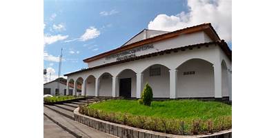 CENTRO DE FORMACION INTEGRAL CHRYSALIS