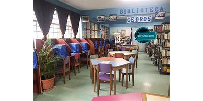 CENTRO EDUCATIVO LOS CEDROS TOLUCA