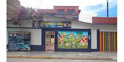 CESAR VALLEJO - SISTEMAS LIDER
