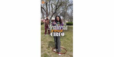 CIRCO PRODUCCIONES ODISSEIS