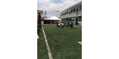 COLEGIO BILINGÜE CIPRES