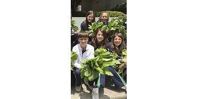 COLEGIO BOSQUES DEL CONTADERO