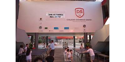 COLEGIO DOMINGO SAVIO