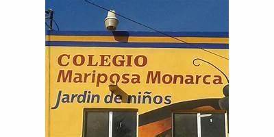 COLEGIO MARIPOSA MONARCA