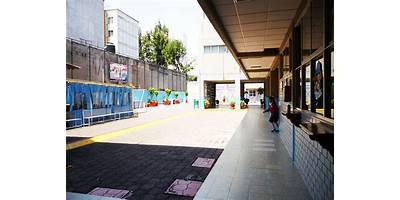 COLEGIO MICHAEL FARADAY