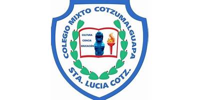 "COLEGIO MIXTO  COTZUMALGUAPA"