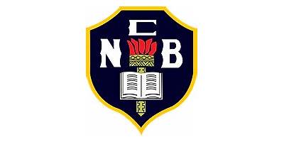 COLEGIO NICOLAS BRAVO