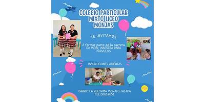 COLEGIO PARTICULAR MIXTO "LICEO MINERVA"