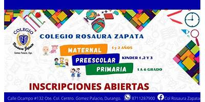 COLEGIO ROSAURA ZAPATA