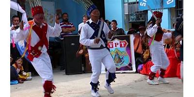 CPED - 86301 VIRGEN PURISIMA