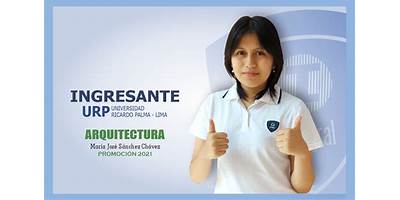 DESARROLLO INTEGRAL