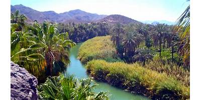DESIERTO DE VIZCAINO