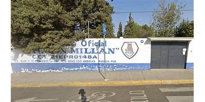 DRA MARIA DEL CARMEN MILLAN