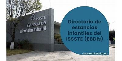 EBDI NUM. 63 DEL ISSSTE