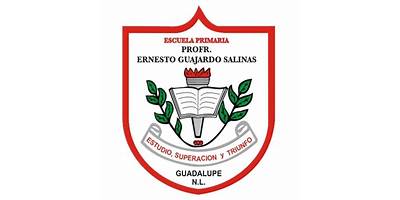 ERNESTO GUAJARDO SALINAS