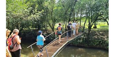 ESC. Nº 553: ALICIA R. BEJERMAN