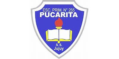 ESCUELA N 255 PUCARITA