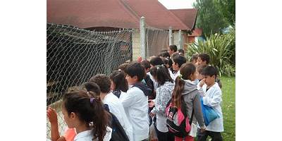 ESCUELA NRO 56 ALMAFUERTE