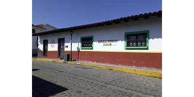 ESCUELA PRIMARIA BLOOM