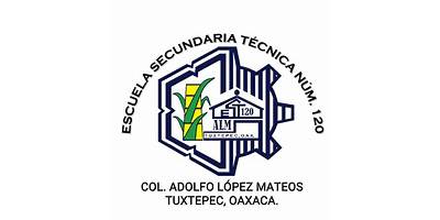 ESCUELA SECUNDARIA TECNICA NUM. 219