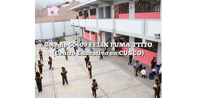 FELIX PUMA TTITO