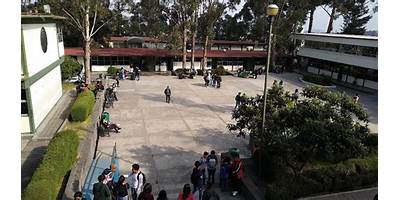 FLOR Y CANTO IN XOXHITL IN CUICATL