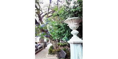 FLORENCIO ANTILLON