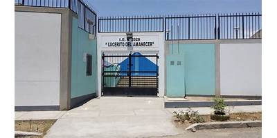 2028 LUCERITO DEL AMANECER