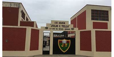 22459 JULIO C. TELLO