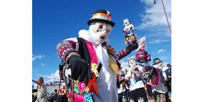 30001-10 MAXIMO GAMARRA ROJAS