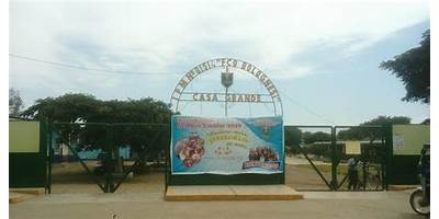 81514 FRANCISCO BOLOGNESI