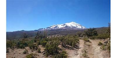 AYROCA