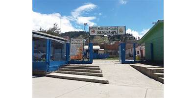 CISEA NICRUPAMPA